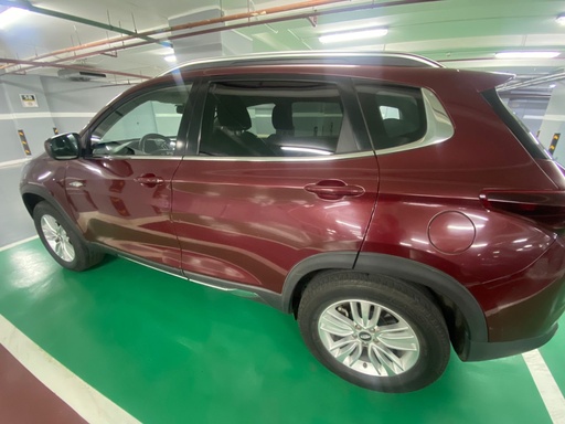 صورة العربية