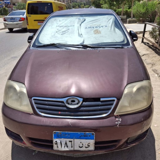 صورة العربية