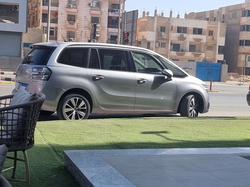 صورة العربية