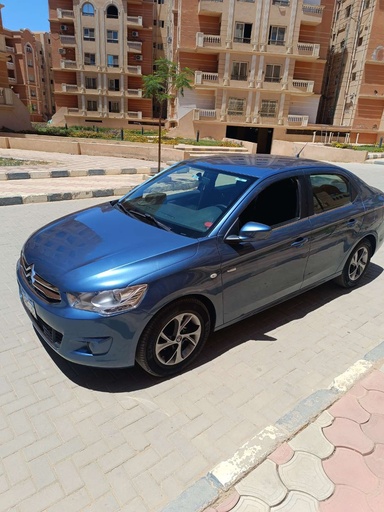 صورة العربية