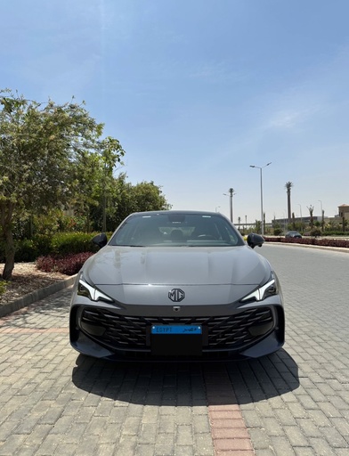 صورة العربية