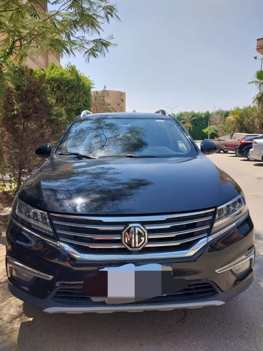 صورة العربية