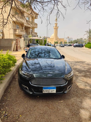 صورة العربية