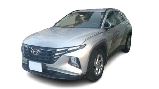 صورة العربية