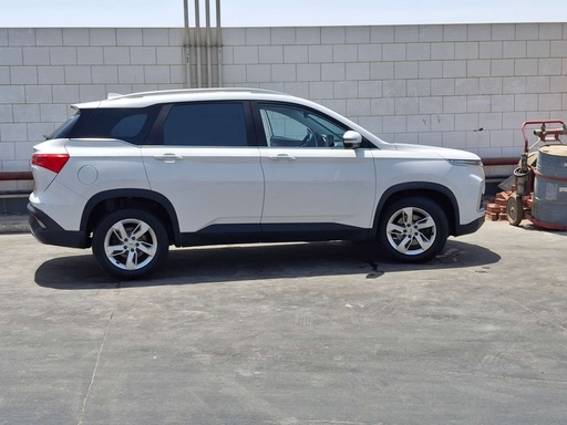 صورة العربية