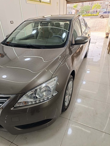 صورة العربية