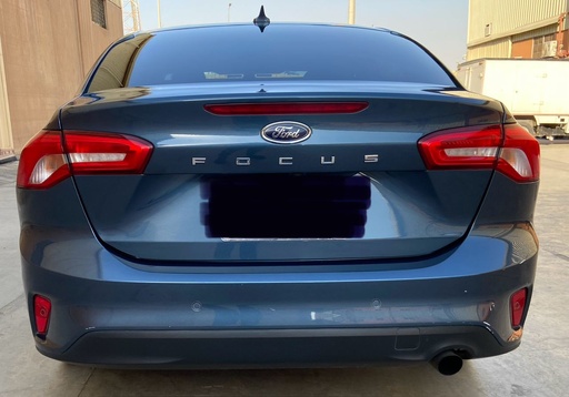 صورة العربية