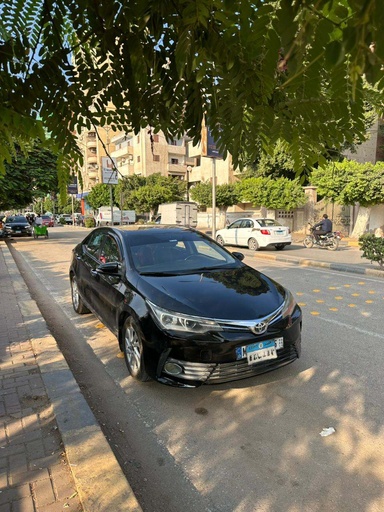 صورة العربية