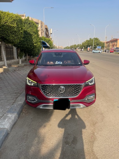 صورة العربية