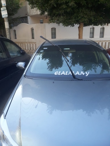 صورة العربية