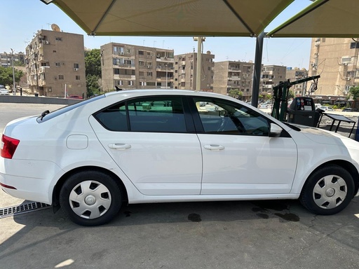 صورة العربية