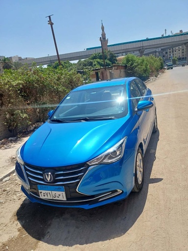 صورة العربية