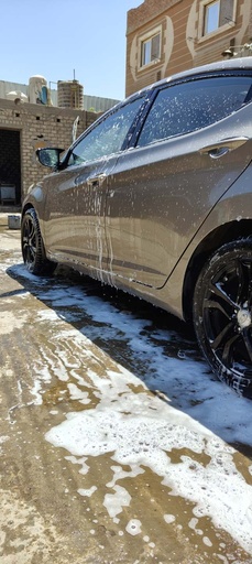 صورة العربية