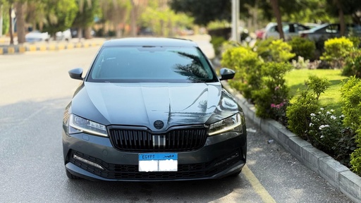 صورة العربية