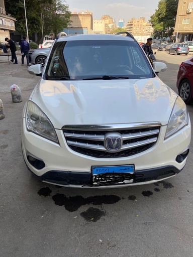 صورة العربية