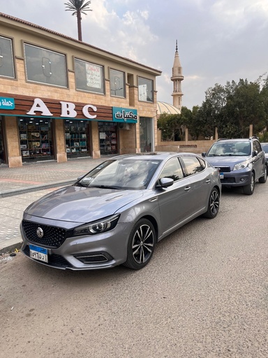 صورة العربية