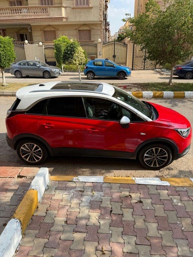 صورة العربية