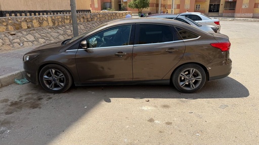صورة العربية