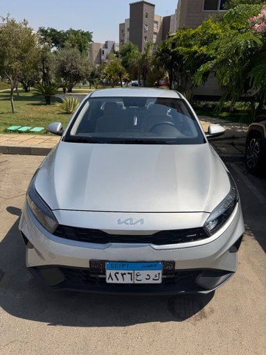 صورة العربية