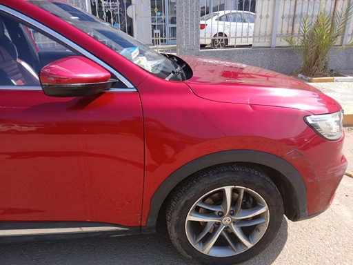 صورة العربية