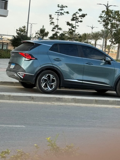 صورة العربية