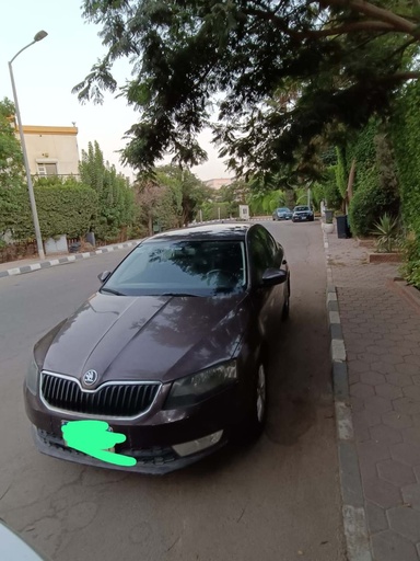 صورة العربية