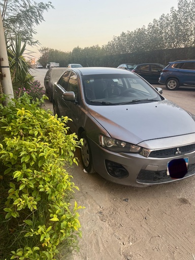 صورة العربية