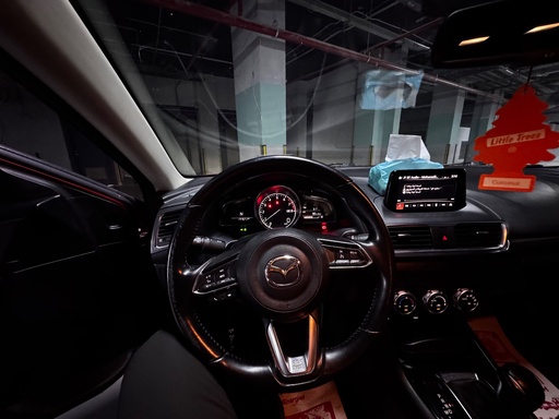 صورة العربية