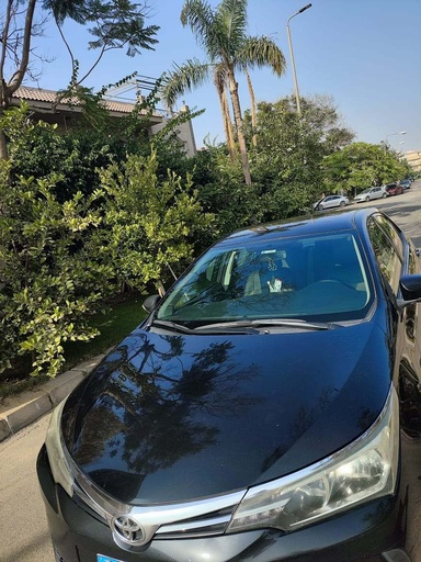 صورة العربية