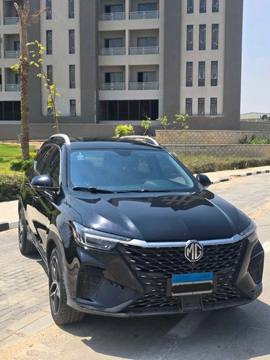 صورة العربية