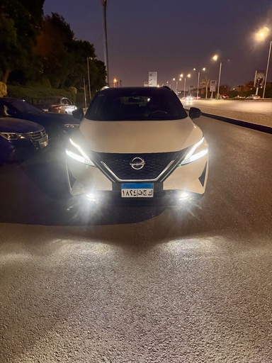 صورة العربية