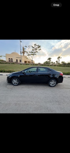 صورة العربية