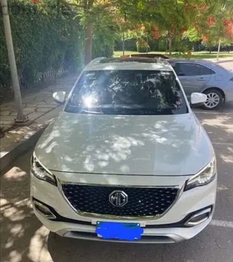 صورة العربية